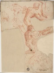 Croquis de nus masculins, jambes (recto) ; Croquis de nus masculins (verso)