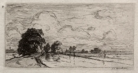 Paysage inondé avec arbres
