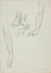 Étude pour le Miroir de Vénus : Bras et pieds de Vénus