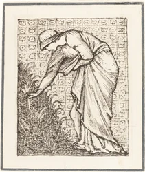 Dame cueillant des fleurs