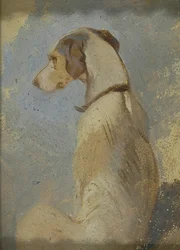 Étude d