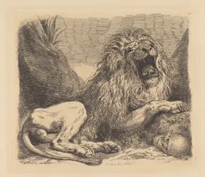 Étude de la nature; un lion parmi les rochers, rugissant, un crâne humain en bas à droite