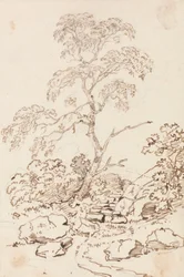 Arbre près des marches