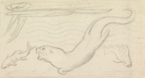 Étude de vitrail, une loutre et deux poissons