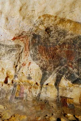 Détail de la peinture gravée de têtes de chevaux, Lascaux.