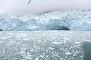 Morceaux de glace des glaciers voisins flottant dans la mer arctique, îles Svalbard, Norvège