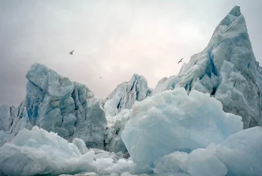 Icebergs dans la mer arctique autour de l