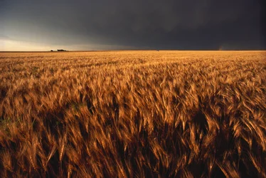 États-Unis, Kansas, une tempête d