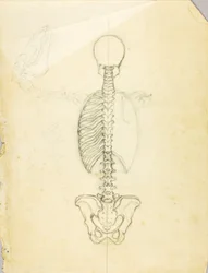 Étude d
