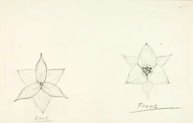 Cadre de la fleur
