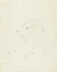 Chèvres