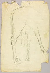 Cheval