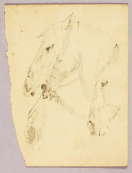 Têtes de chevaux