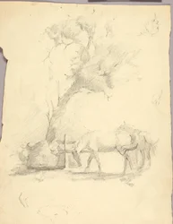 Chevaux et arbres
