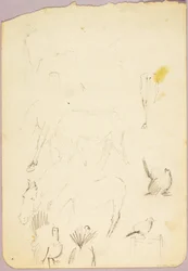 Chevaux et dindes