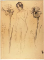 Nu et iris