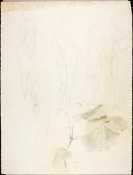Nus et feuilles