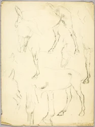 Étude de portrait, Étude de cheval