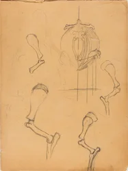 Carnet de croquis