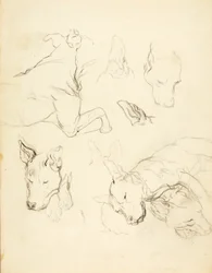 Sleeping Dogs