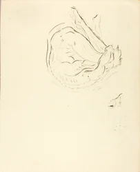 Nageur