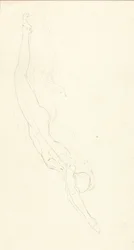 Le plongeon #2