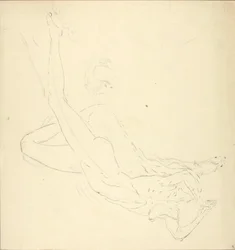 Le plongeon #3