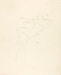 Le plongeon #8