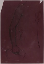 Torse, étude pour le monument équestre