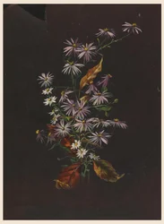 Bouquet d