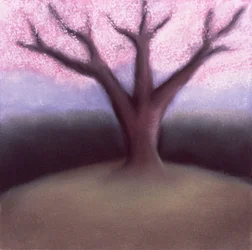Arbre en fleur