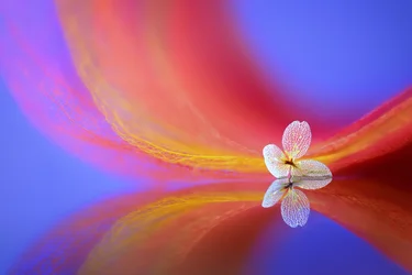 Reflet d