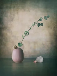 Vase rose « Eucalyptus Snail »