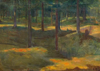 Forêt de Frognerseter