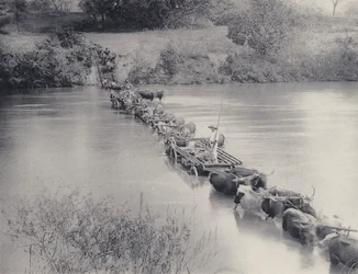 Comment les rivières sont traversées dans le Transvaal