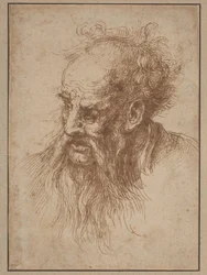 Un vieil homme à la barbe flottante
