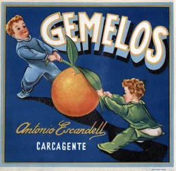 Publicité pour les oranges, image de deux bébés jumeaux se battant pour une orange. Affiche publicitaire, Valence