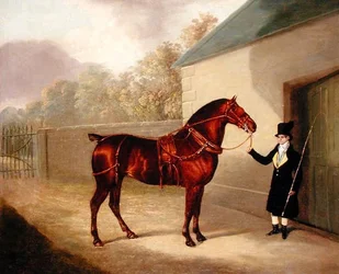 Vue extérieure, commencée en 1720