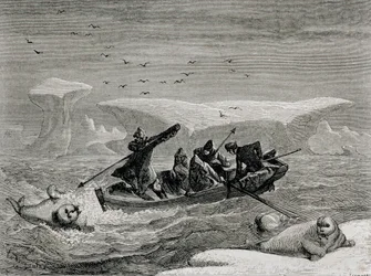 Chasse au morse avec des harpons dans les îles du Spitzberg, archipel du Svalbard, illustration de 