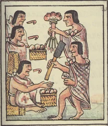 Ms Palat. 218-220 Un festin aztèque, du Codex florentin par Bernardino de Sahagun, c.1540-85