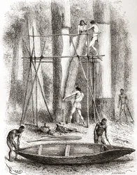 Indiens natifs construisant un canoë sur les rives de la rivière Oyapock ou Oiapoque, Amérique du Sud (gravure)