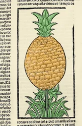 Représentation d
