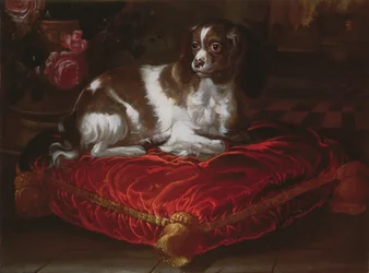 Épagneul sur un coussin
