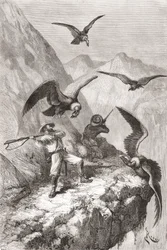 Édouard François André et son compagnon attaqués par des condors près de Calacali, province de Pichincha, Équateur, lors de son expédition botanique dans les contreforts des Andes en 1875-76