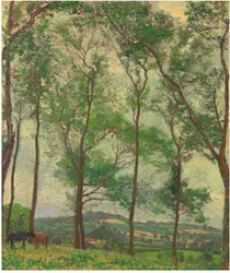 Paysage du Somerset, près d