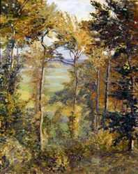 Paysage boisé à Tibermont, Neuville Les Dieppes