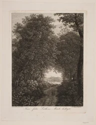 Chemin forestier