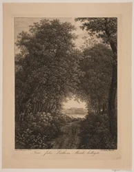Chemin forestier
