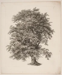 "Études d