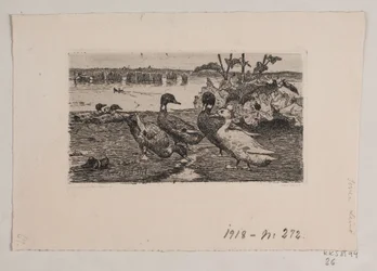 Canards